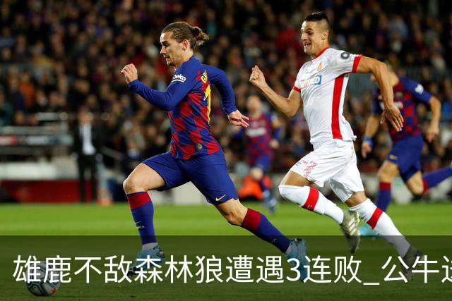 雄鹿不敌森林狼遭遇3连败 公牛送灰熊7连败